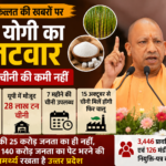 yogi-sugar-stock-up